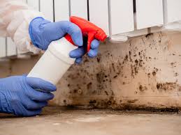 Best Biohazard Mold Removal  in Lampeter, PA